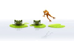 Animals Frogs different
