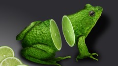 Animals Frogs graphics 3d limes Graphic Design 3d art art 