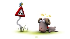 Animals funny sheep