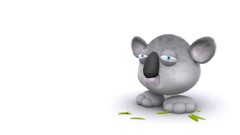 Animals funny Simple Background