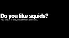 Animals funny squid