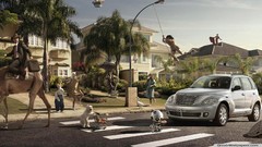 Animals funny urban cities cityscapes