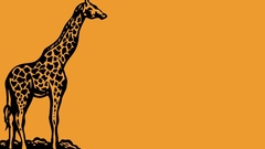 Animals Giraffes animal