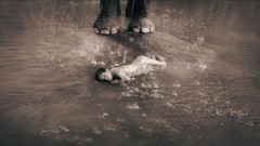 Animals Gregory Colbert Ashes and Snow