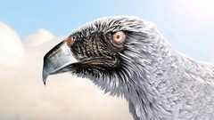 Animals hawk sculptures