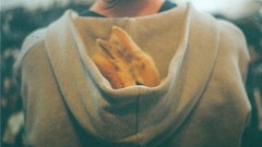 Animals hood Bunnies