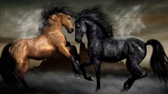 Animals Horses