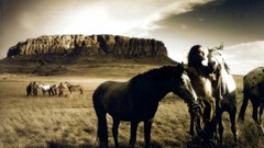Animals Horses Cowboys Native Americans