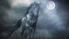 Animals Horses creatures fantasy art