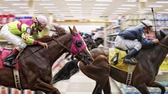 Animals Horses horse racing