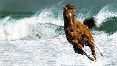 Animals Horses running waves