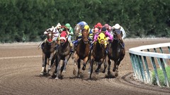 Animals Horses track racing