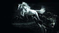 Animals Horses Wolves jumping illustrations