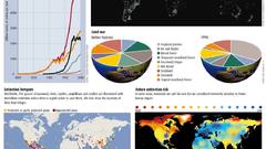 Animals human infographics