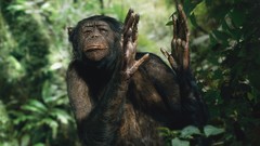 Animals jeep Print monkeys Parks commercial