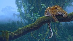 Animals jungle Leopards illustrations