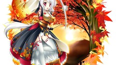 Animals Katana white hair Swords anime girls touhou inubashiri 