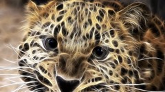 Animals Leopards creativity Fractalius