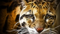 Animals Leopards Fractalius