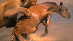 Animals Lions artwork