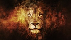 Animals Lions artwork