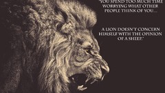 Animals Lions Quotes upscaled