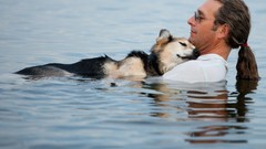 Animals love together friendship help friend