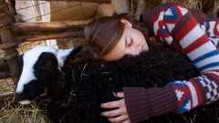 Animals love woman sheep sleeping harmony protector Wallbase