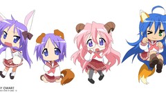 Animals lucky star hiiragi