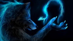 Animals magic Wolves