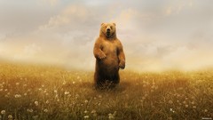 Animals meadows Bears dandelions artwork