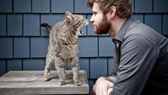 Animals Men cats beard