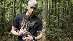 Animals Men jungle white hair journalist Anderson Cooper