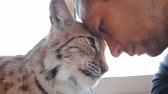 Animals Men lynx