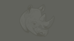 Animals minimalistic