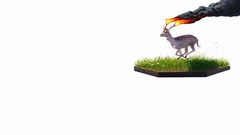 Animals minimalistic Simple Background