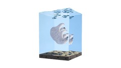 Animals minimalistic Simple Background