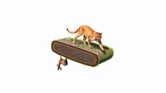 Animals minimalistic Simple Background