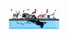 Animals minimalistic Simple Background