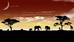 Animals moon Africa vector art cartoonish