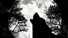 Animals moon Wolves