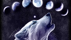 Animals moon Wolves artwork