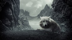 Animals Mountains dark Wolves rocks