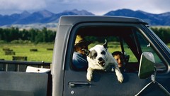 Animals national geographic