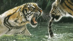 Animals national geographic