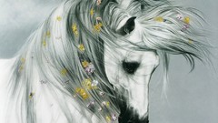 Animals national geographic