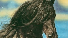 Animals national geographic