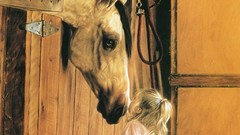 Animals national geographic