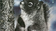 Animals national geographic