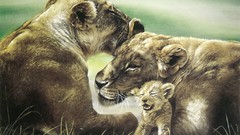 Animals national geographic